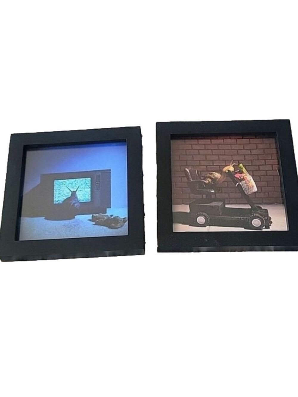 Set 2 Snail photographs works of art, Poltergeist and grandma's cart